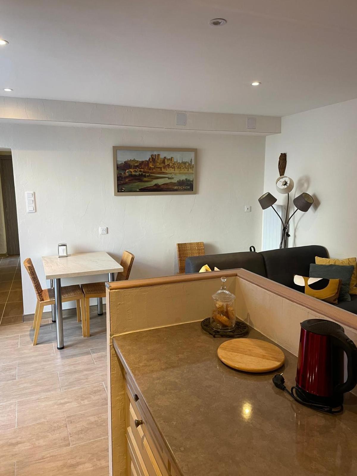 Appartement De Plain-Pied Avec Jardin Avignon Exterior foto
